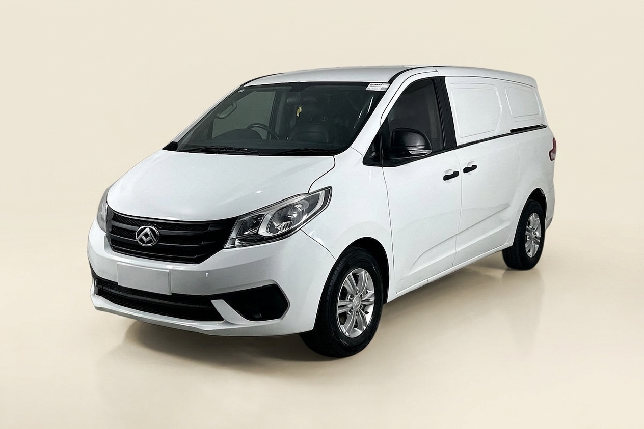LDV G10+